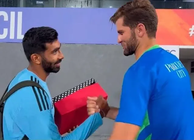 شاہین آفریدی